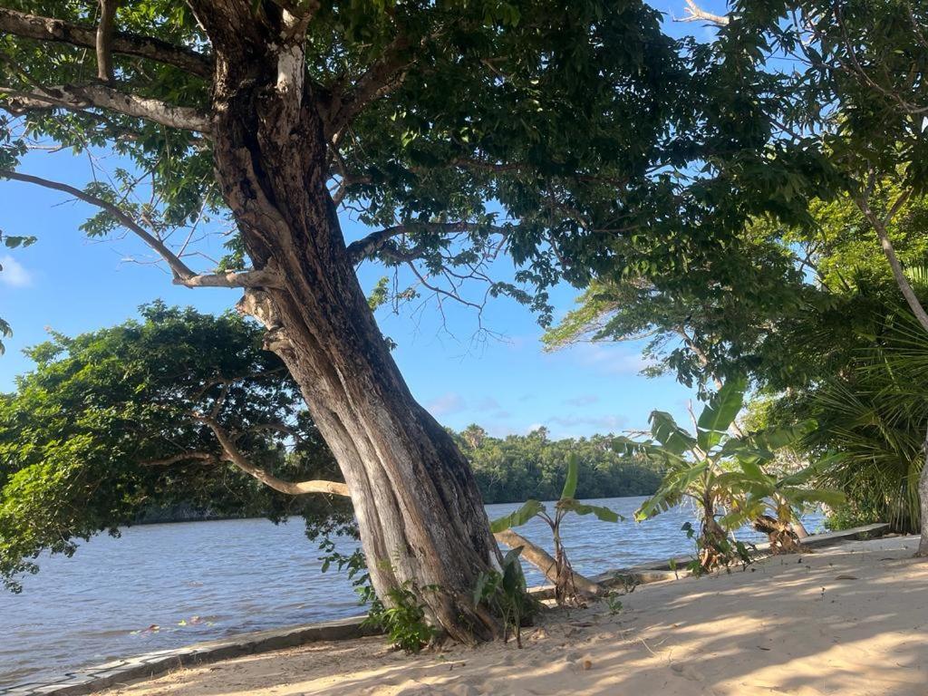 Pousada Paraiso Cultural Barreirinhas Ngoại thất bức ảnh