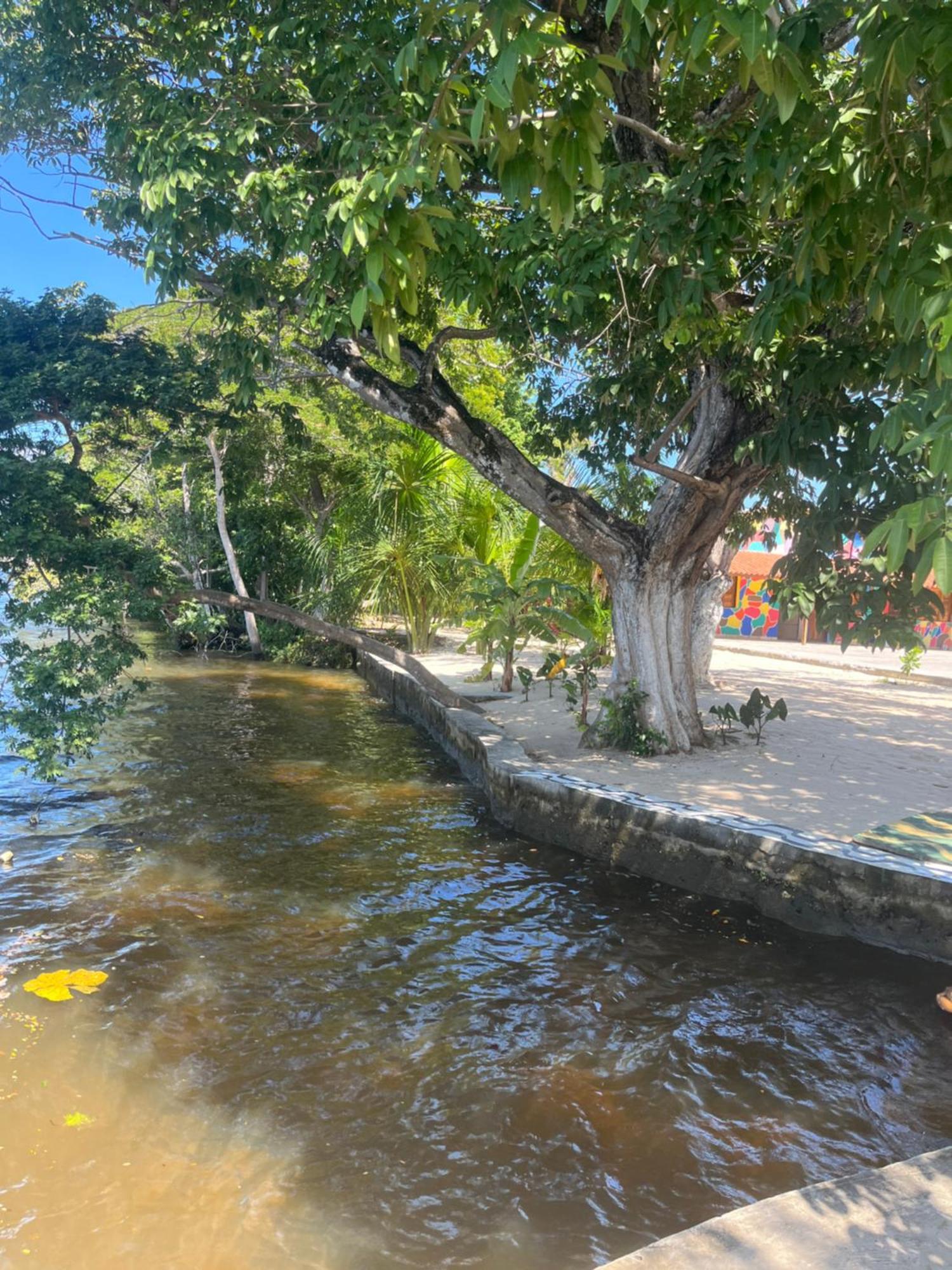 Pousada Paraiso Cultural Barreirinhas Ngoại thất bức ảnh